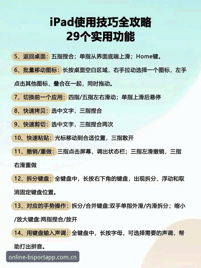 BsportApp使用教程哪个好？如何选择最适合你的体育娱乐平台？